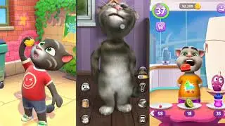 My Talking Tom in Real life [ part 33 ] - Real cat compilation 😈🦜🙊😃