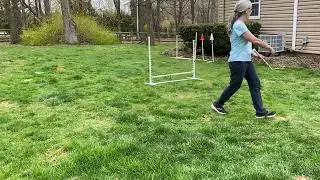 Ex 23: rear cross on one jump laying the groundwork 4/25/2022