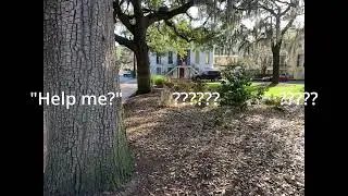Calhoun Square Savannah, Ga, Feb. 22,2022