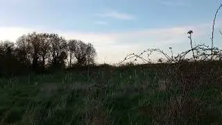 HS2's unexpected contribution to the environment!