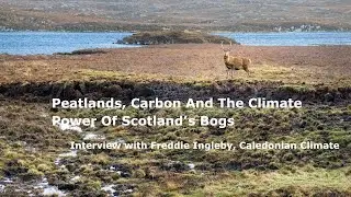 Peatlands, Carbon And The Climate Power Of Scotland’s Bogs | Climate Solutions News