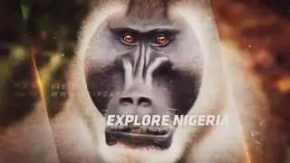 Explore Nigeria with TripZapp