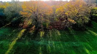 Windsor Great Park.
