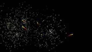 Fireworks Demo by CrowTRobo (PD) - Nintendo 64 - Public Domain