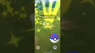 [Pokemon GO] Sewaddle Community Day: &ldquo;Sew Far Sew Good&rdquo; (1/4) - COMPLETED! sewaddle #sewfarsewgood