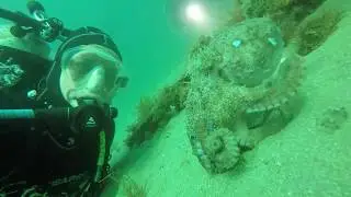 Selfie with Pale octopus, Elsa's reef Rye Pier