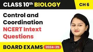 Control and Coordination - NCERT Intext Questions | Class 10 Biology Chapter 6 | CBSE 2024-25