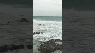 Neil island 🏝️🏖️// Andaman sea ⛵