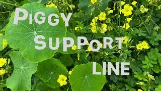 Piggy Support Line // Feedee Hypnosis