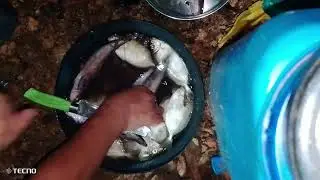 Super fresh na Isda Tara ipaksiw natin,
