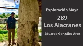 Exploración🧭Maya 289, Los Alacranes, Campeche 🇲🇽