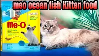 Unboxing and review MeO kitten food Ocean fish price and details ||Kitten food||cats for life
