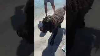 Day In My Life at FAU vlog!