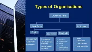 Understanding Different Types Size and Scopes of Organisation | Talent and Skills HuB