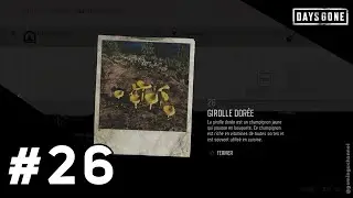 Days Gone - Herboristerie 26: Girolle Dor&eacute;e