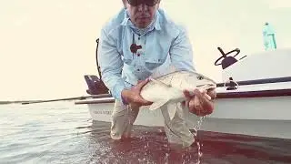 Proper Fish Handling and Release