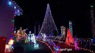 Amarante Winning Light Show - The Great Christmas Light Fight