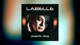 MA.BRA. feat. LABELLE - plastic dog (Ma.Bra. Mix) 136 Bpm (C) Maurizio Braccagni