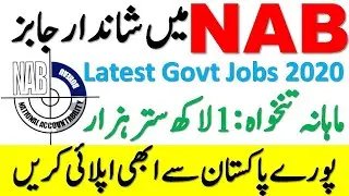 Nab Jobs November 2020 | National Accountability Bureau Jobs | Govt Jobs 2020 | New Jobs in Pakistan