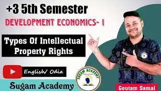 Types Of Intellectual Property Right || Development Economics- I || +3 Economics