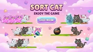 LIVE SORT CAT 7