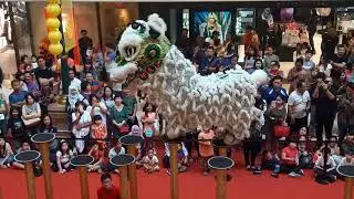 barongsai kong ha hong