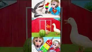 #обезьяна #детеныш обезьяны #дом животных