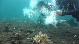 Underwater bubble ring