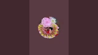 ladu gopal  is live!