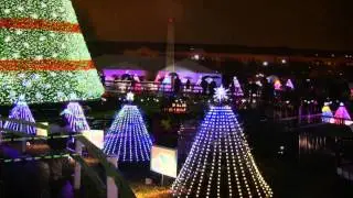 National Christmas Tree 2014