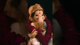 bappa #cute #cutebaby #music #baby #little #pilgrimagevlog
