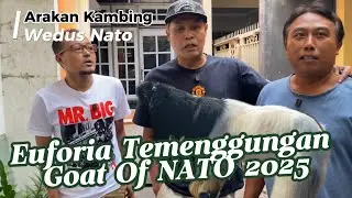 Wedus NATO || Idul Adha Euforia Temenggungan Juni 2025 ‼️Komedi Jawa Film Lucu Ngakak