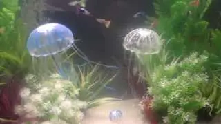 JBL Medusa Fish Tank Jelly Fish Decoration