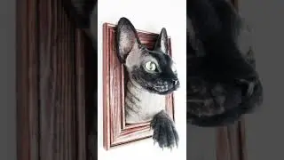 CUSTOM 3D Cat Portrait - Sphinx