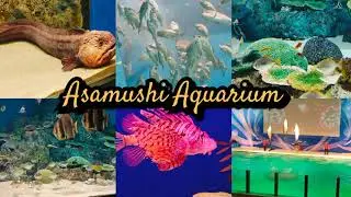 Aomori Asamushi Aquarium Japan 浅虫水族館