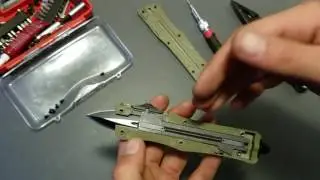Внутренности клона боевого троодона