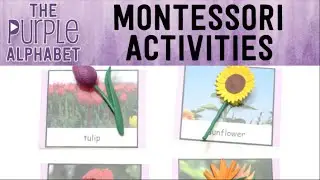 How to Use Montessori 3 Part Cards - Activities for Toddlers and Preschool