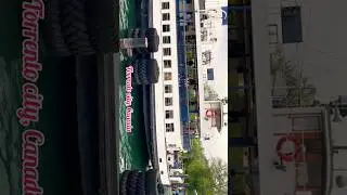 a kahin dur chale jaen ham #torrento Canada #shorts #viral