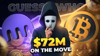 Биткоин-кит проснулся: $72 млн пришли в движение спустя 10 лет!
