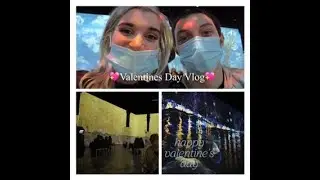 Valentines Day Vlog Van Gogh Immersive Exhibit