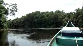 Morichal Largo Monodocumental 2.MPG
