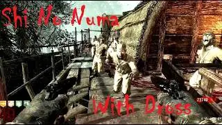 Shi No Numa with Dr. Dross (Call of Duty Black Ops Zombies) I like this map. 