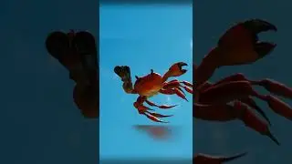 Hee HEEEEE 🕺
