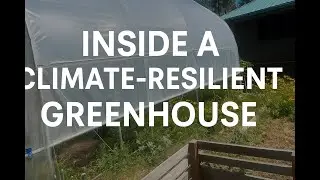 Inside a Climate-Resilient Greenhouse: Food, Flowers & Community Health in Action