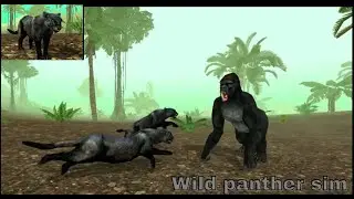 Wild panther sim 3D ||  wild panther sim android gameplay 1
