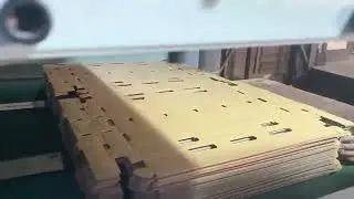 Egyptian Customer Has Started Auto Die-Cutting Machine for Carton Order Production Video