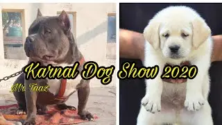 DOG SHOW 2020 KARNAL. BREED WITH NAMES
