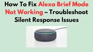 How To Fix Alexa Brief Mode Not Working &ndash; Troubleshoot Silent Response Issues