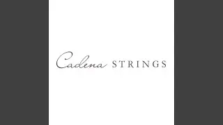 Theme from a Summer Place (Acoustic Strings Version)