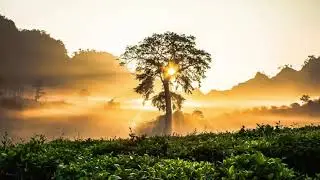 Healing Reiki Music (with 12 x 3 min Bell) and Nature Ambience